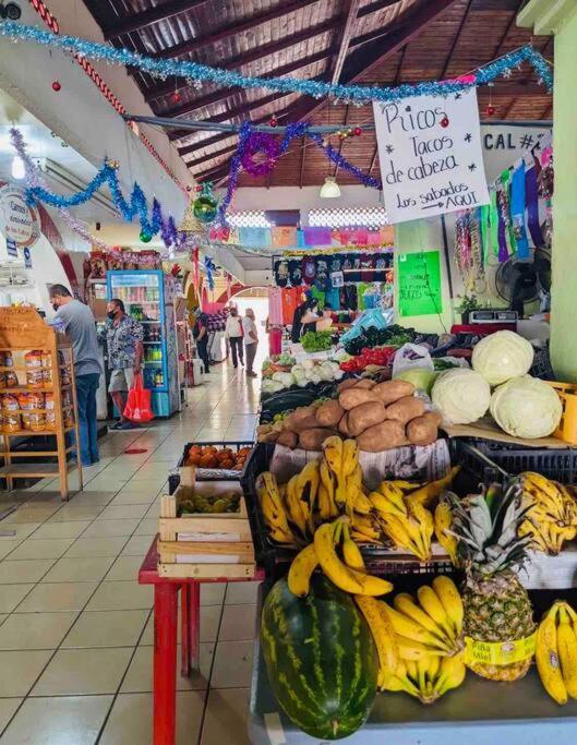 San José del CaboCasa Anuiti Centrica Ubicacion.公寓 外观 照片